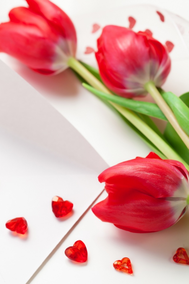 Red Tulips For Womens Day