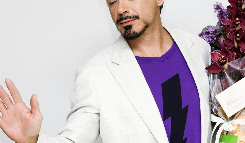 Robert John Downey Jr Actor Male Celebrities