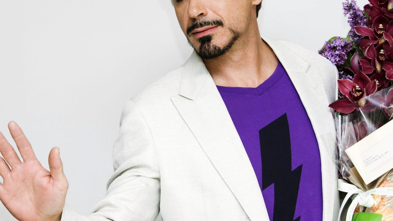 Robert John Downey Jr Actor Male Celebrities