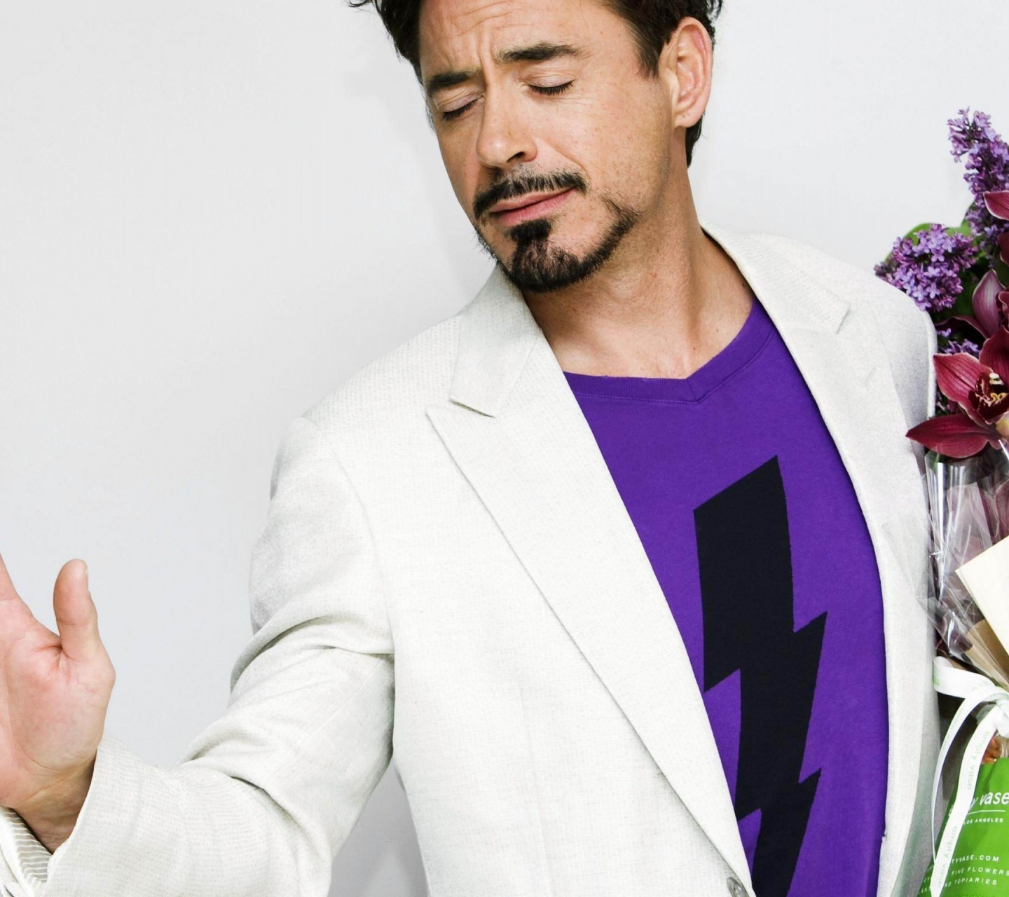 Robert John Downey Jr Actor Male Celebrities