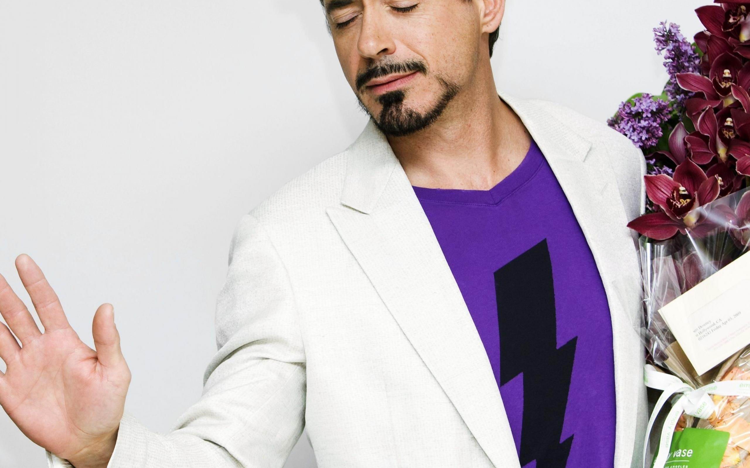 Robert John Downey Jr Actor Male Celebrities