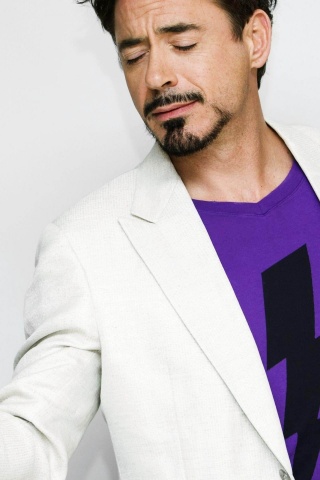 Robert John Downey Jr Actor Male Celebrities