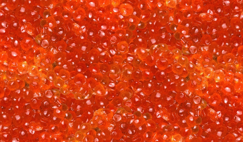 Salmon Caviar