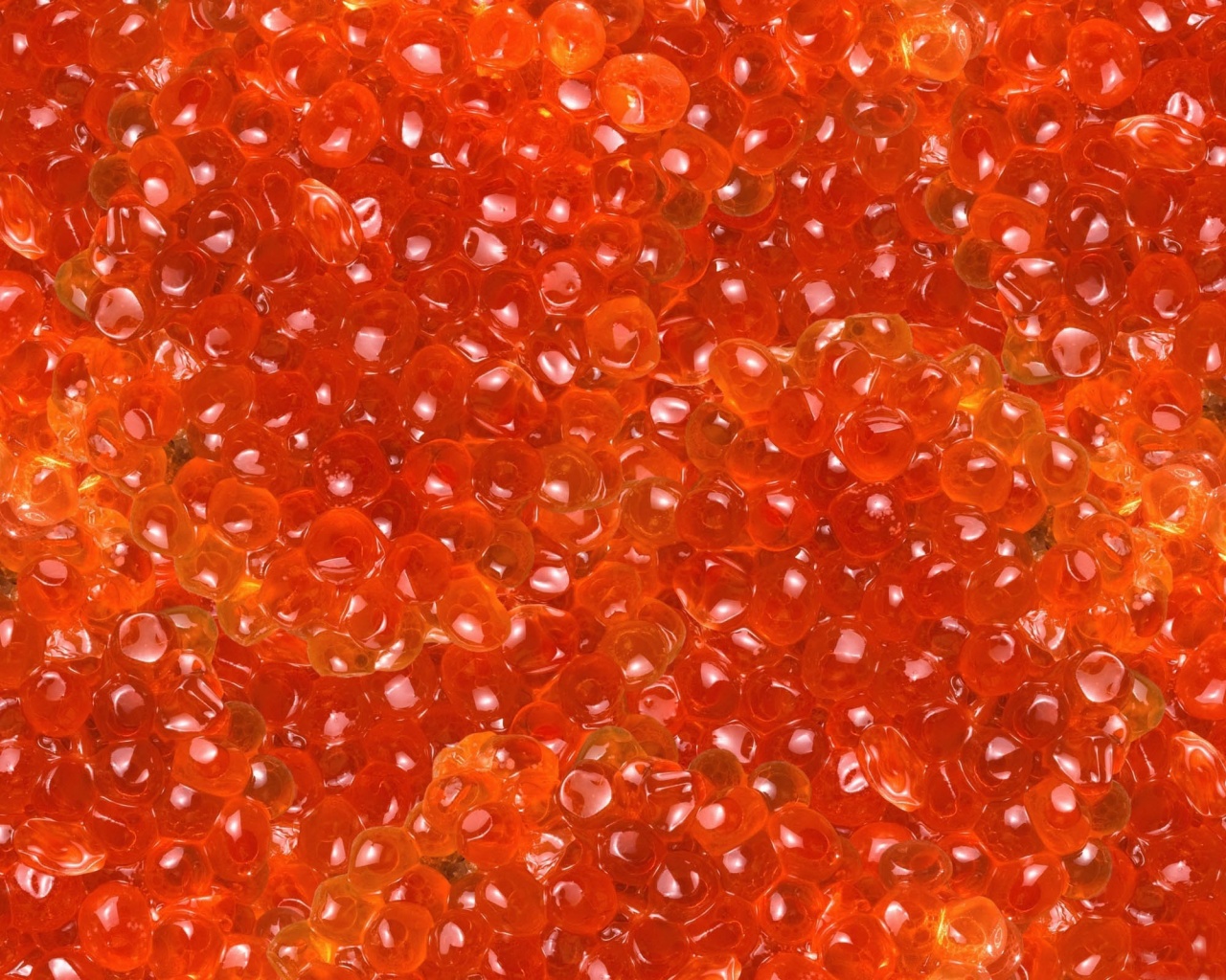 Salmon Caviar