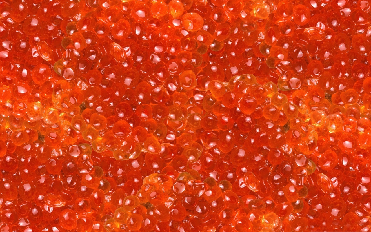 Salmon Caviar