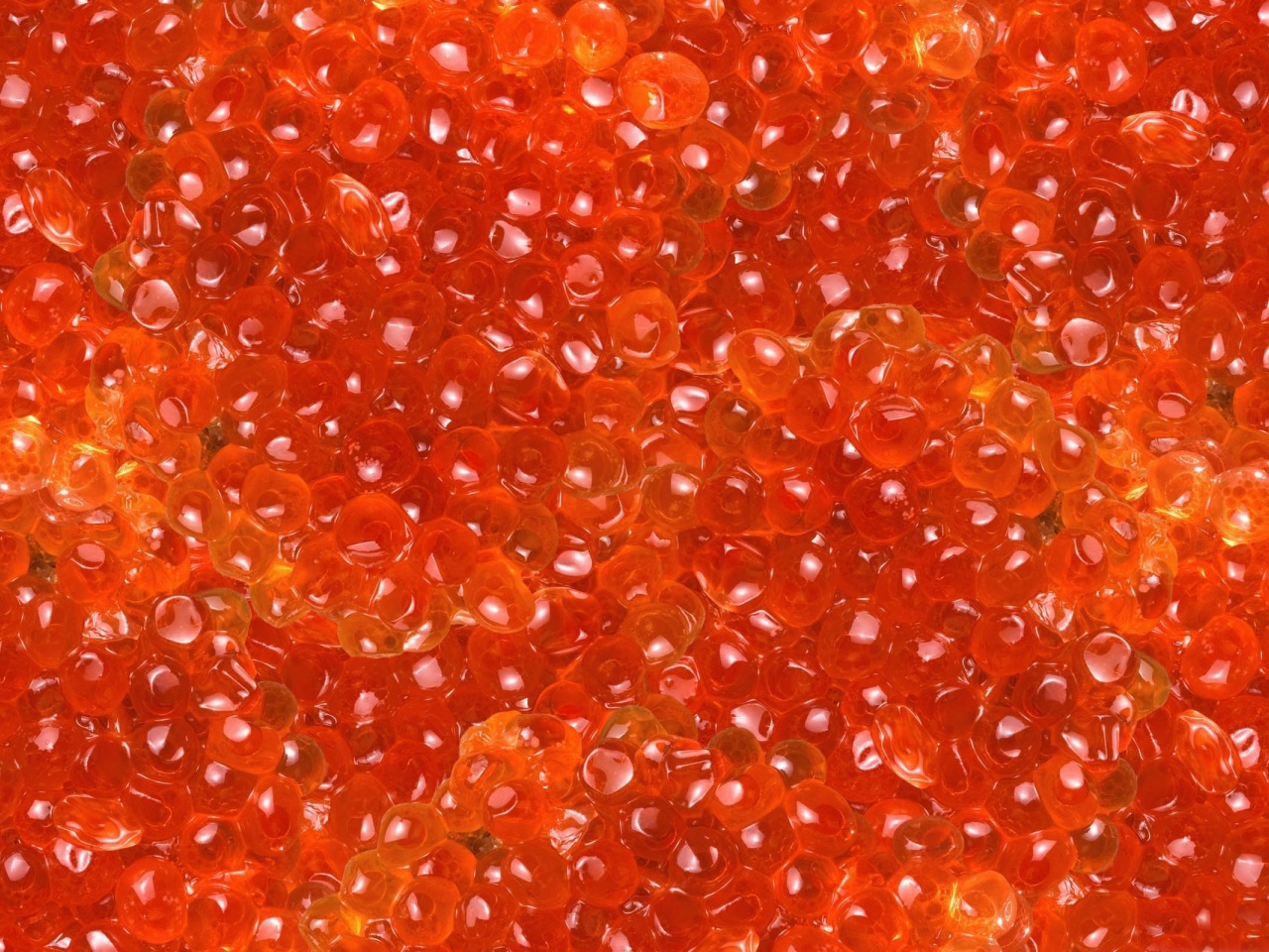 Salmon Caviar