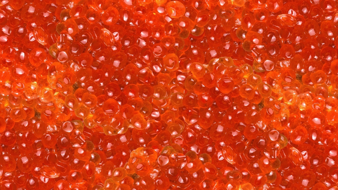 Salmon Caviar