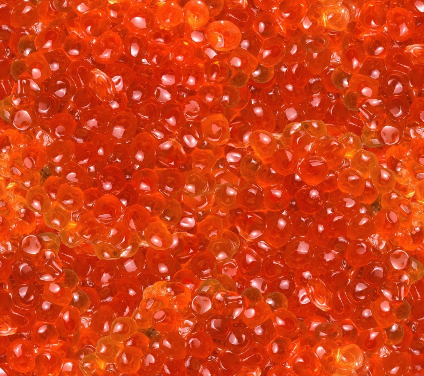 Salmon Caviar