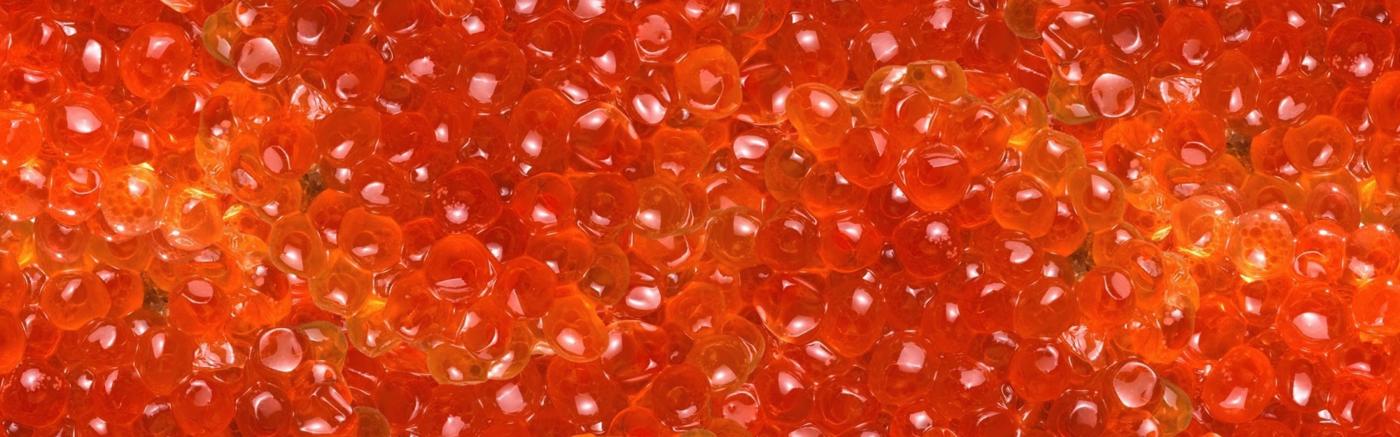 Salmon Caviar