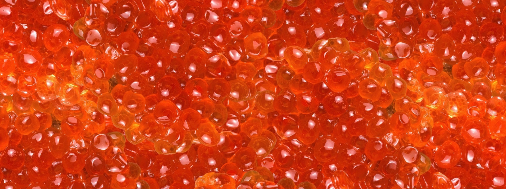 Salmon Caviar