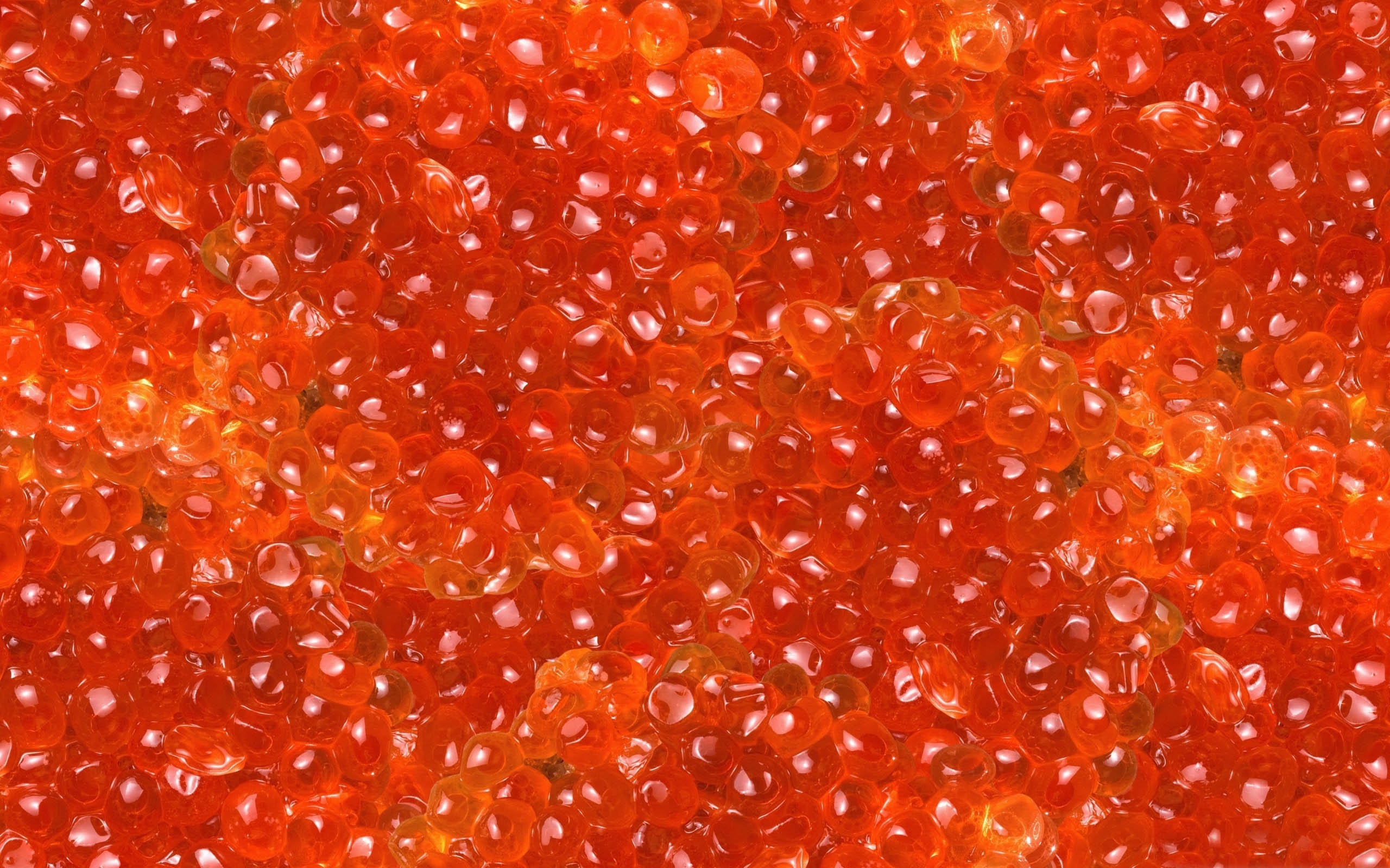 Salmon Caviar