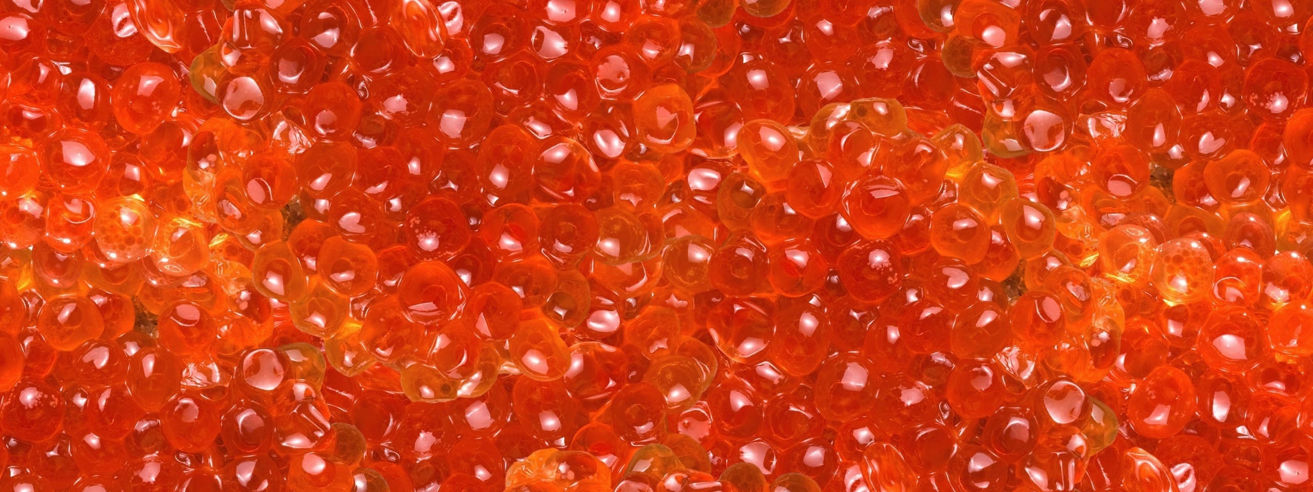 Salmon Caviar