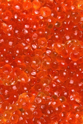 Salmon Caviar