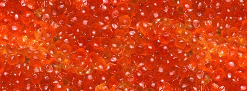 Salmon Caviar