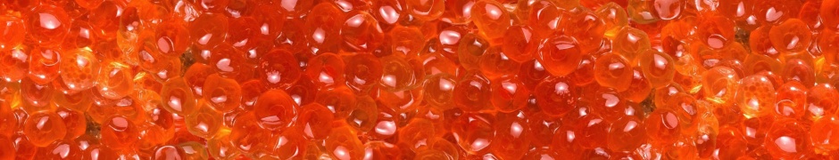 Salmon Caviar