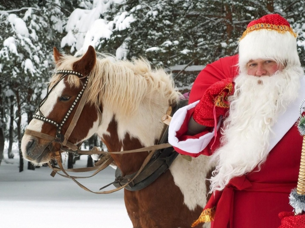 Santa Claus Horse New Year Forest