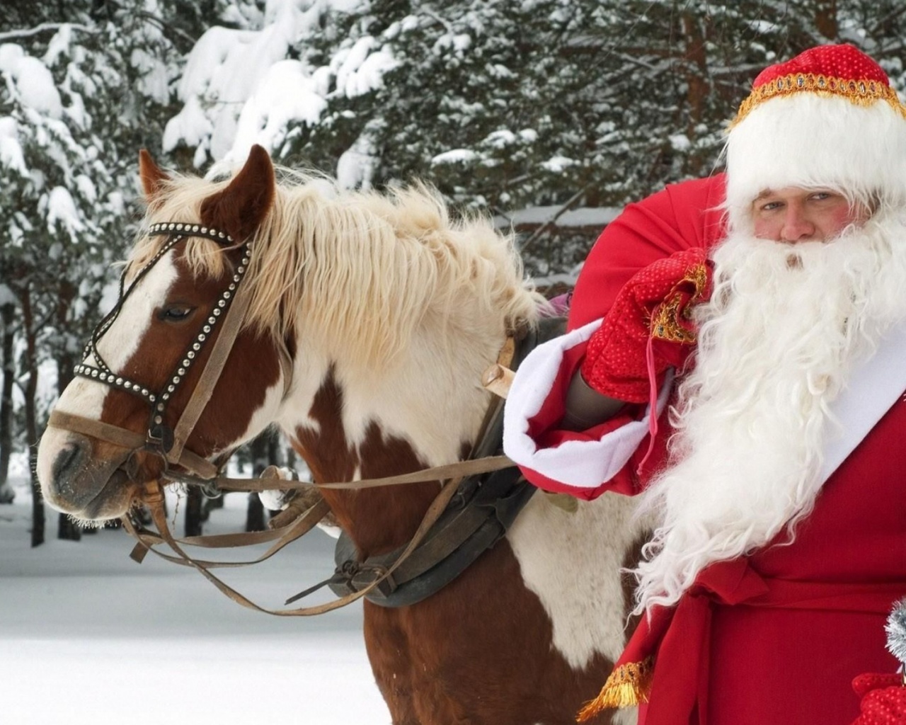 Santa Claus Horse New Year Forest