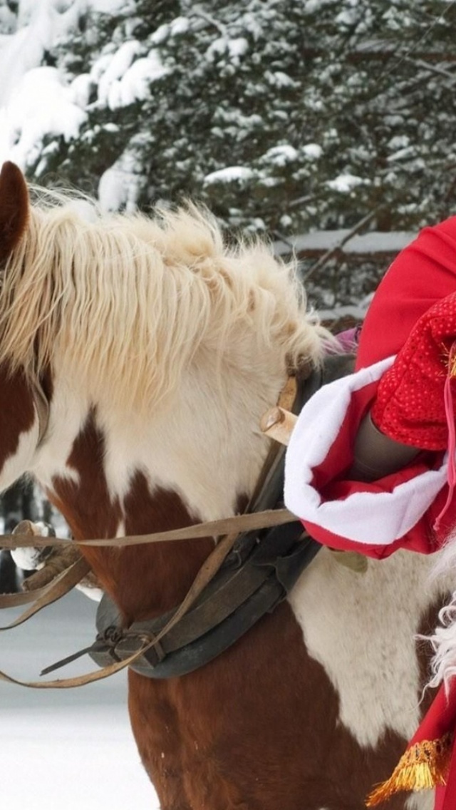 Santa Claus Horse New Year Forest