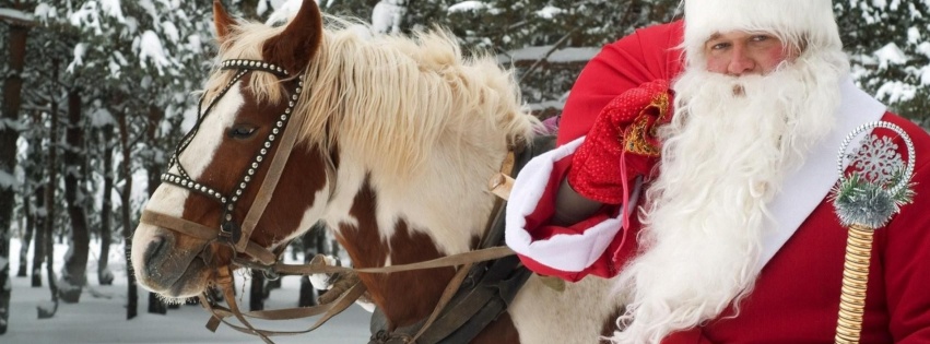 Santa Claus Horse New Year Forest