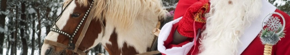 Santa Claus Horse New Year Forest