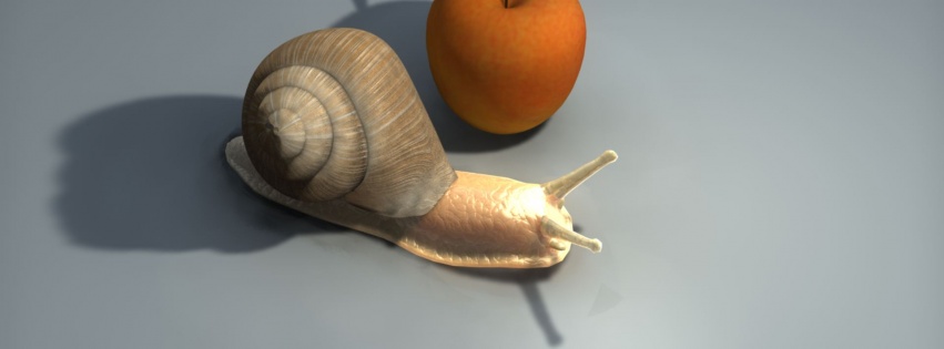 Schnecke Is The File Name