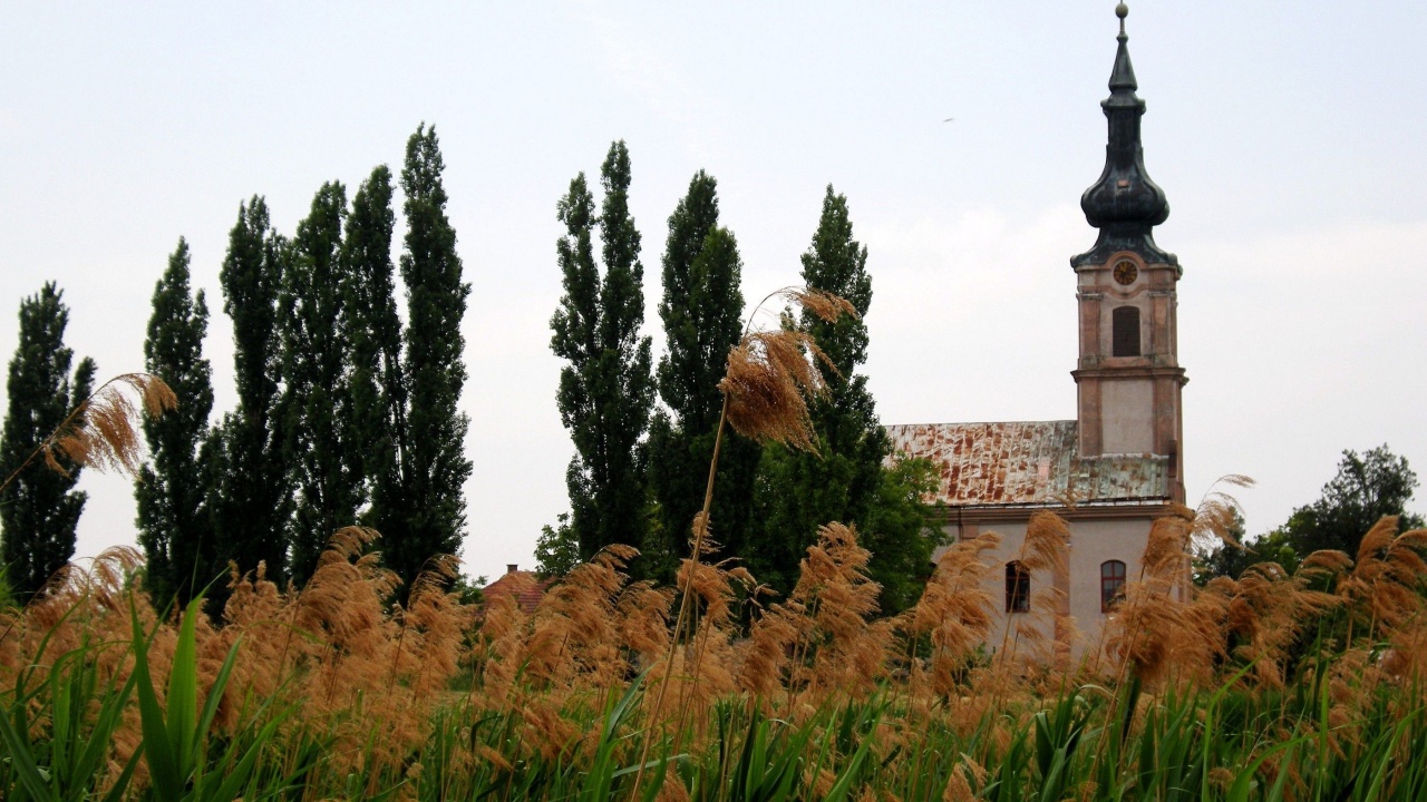 Serbian Orthodox Church Vojvodina Serbia