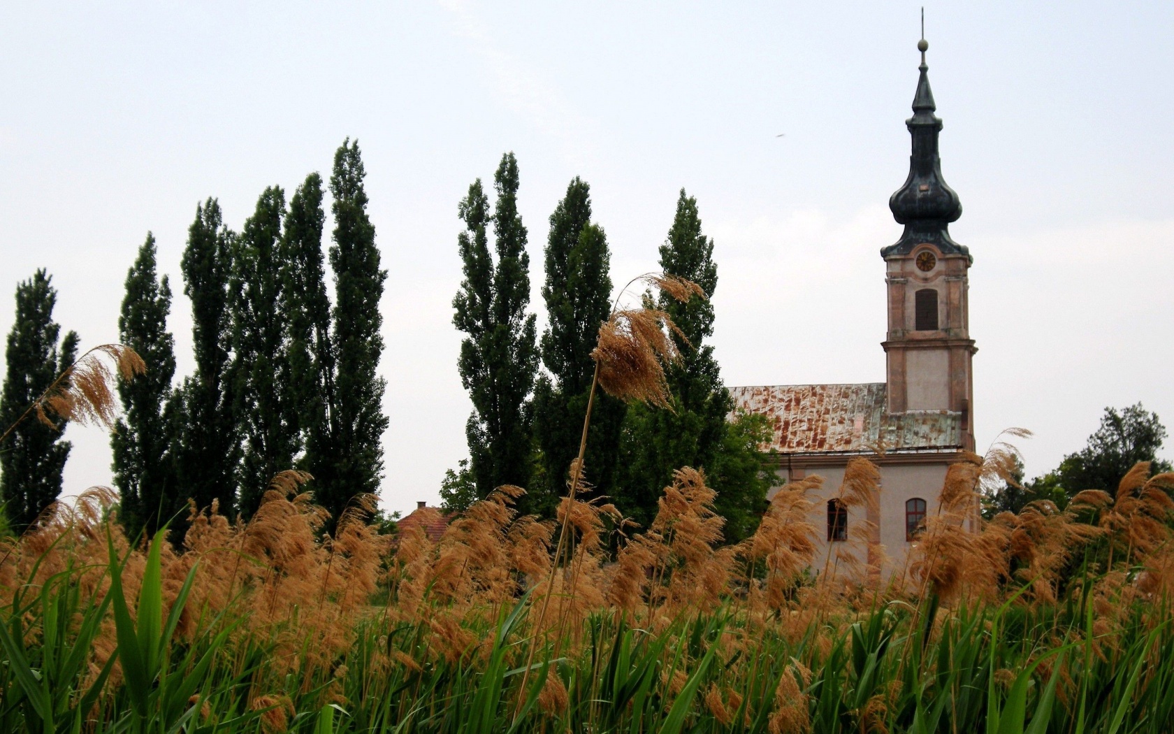 Serbian Orthodox Church Vojvodina Serbia