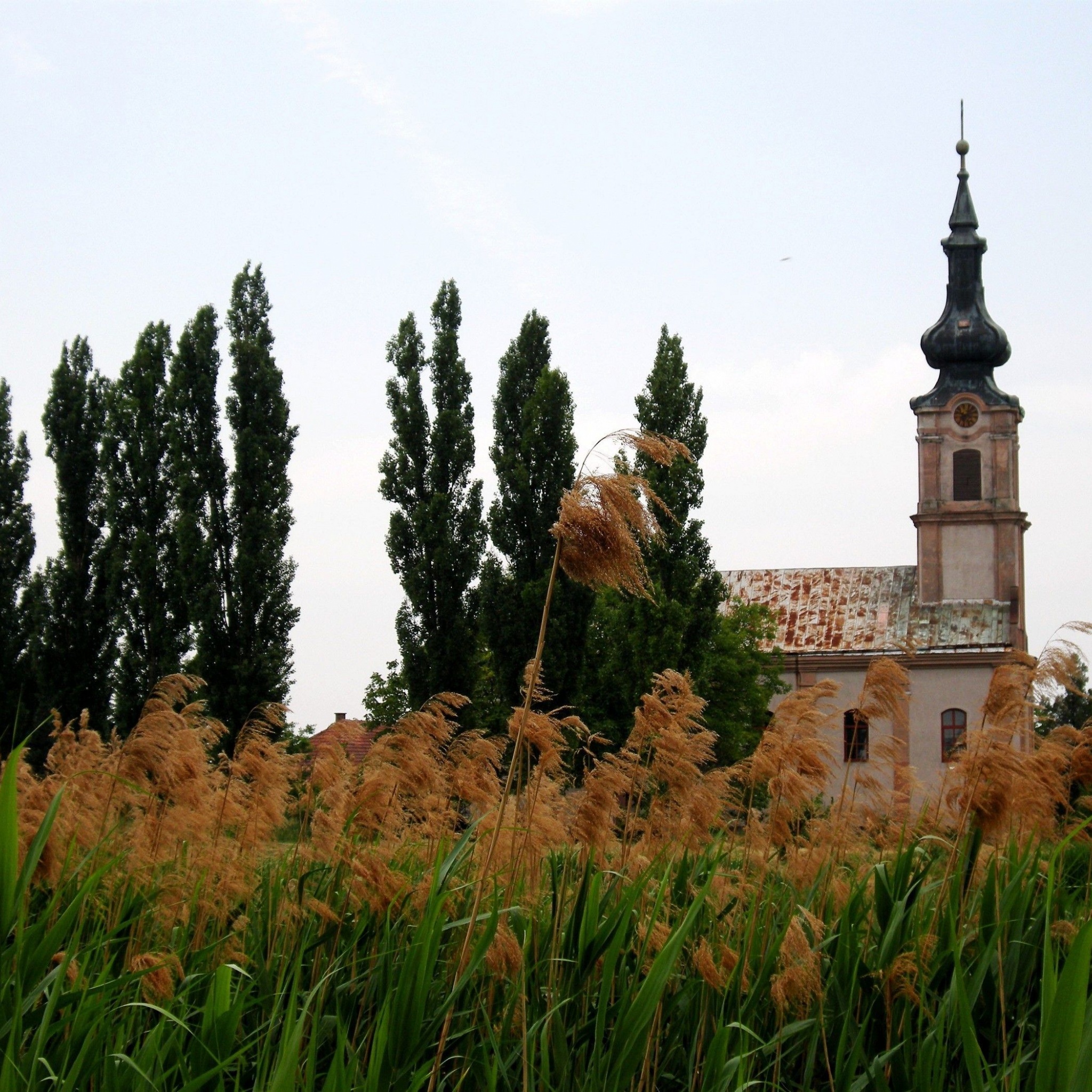 Serbian Orthodox Church Vojvodina Serbia