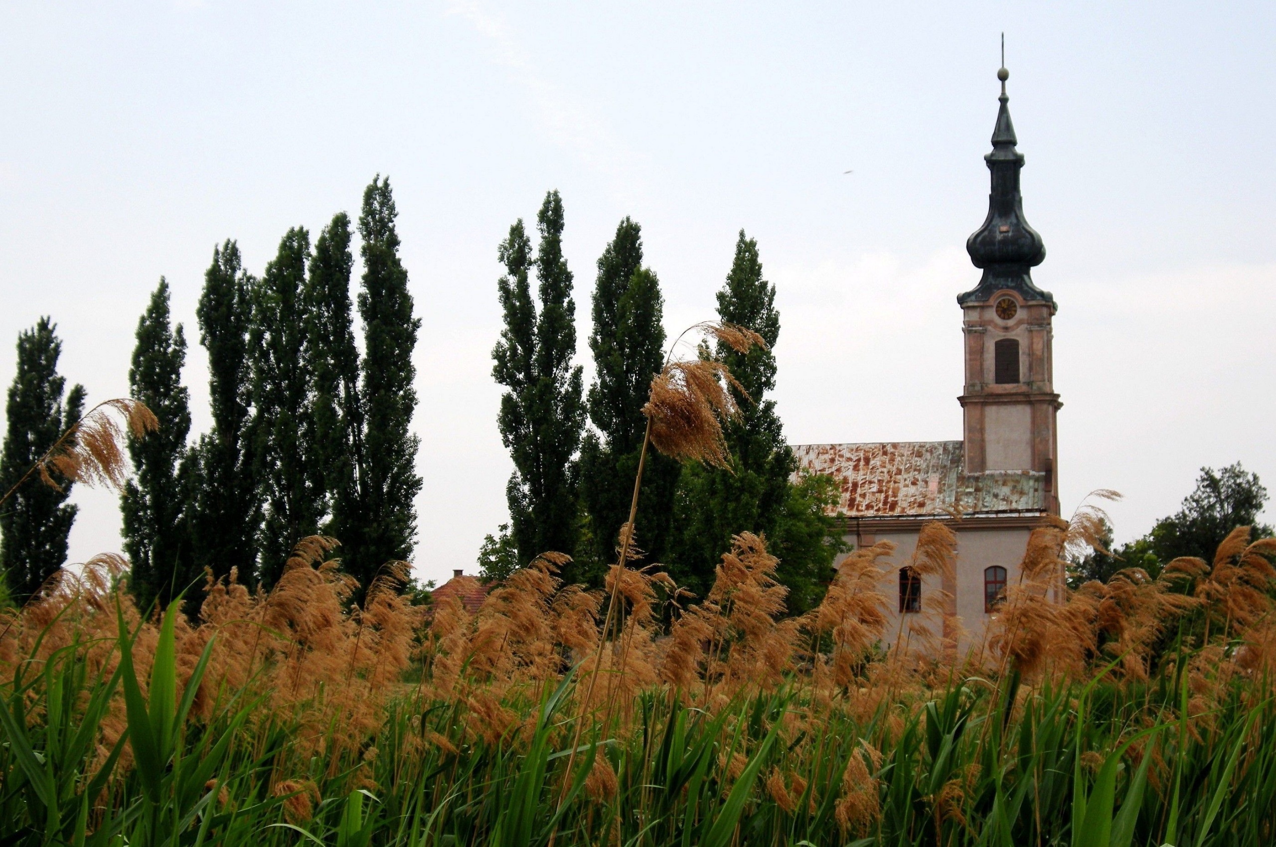 Serbian Orthodox Church Vojvodina Serbia