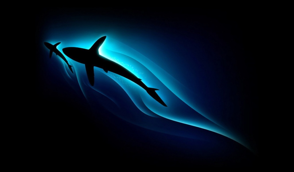 Shark Silhouette