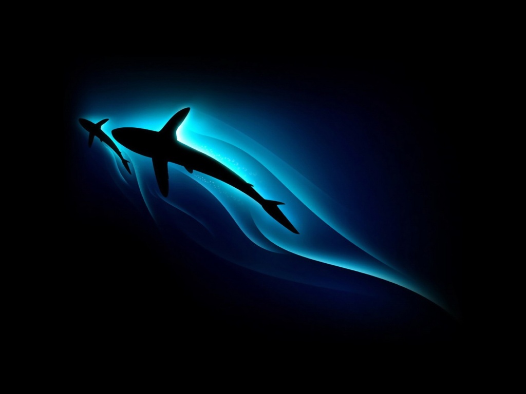 Shark Silhouette