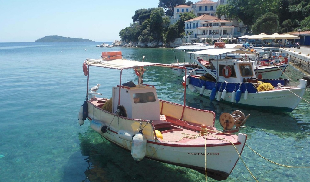 Skiathos Plakes Pier Sporades Thessalia Sterea Ellada Greece