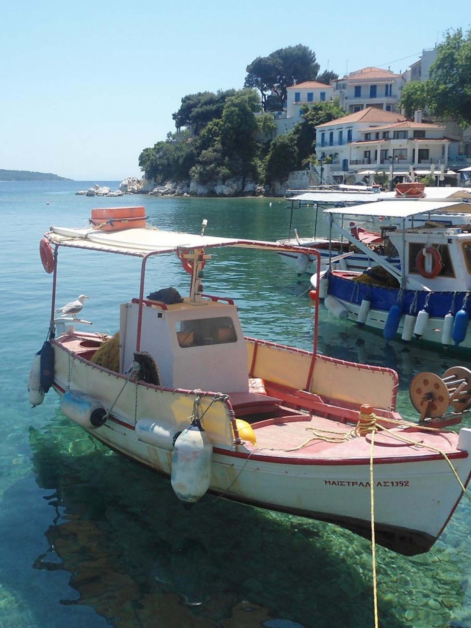 Skiathos Plakes Pier Sporades Thessalia Sterea Ellada Greece