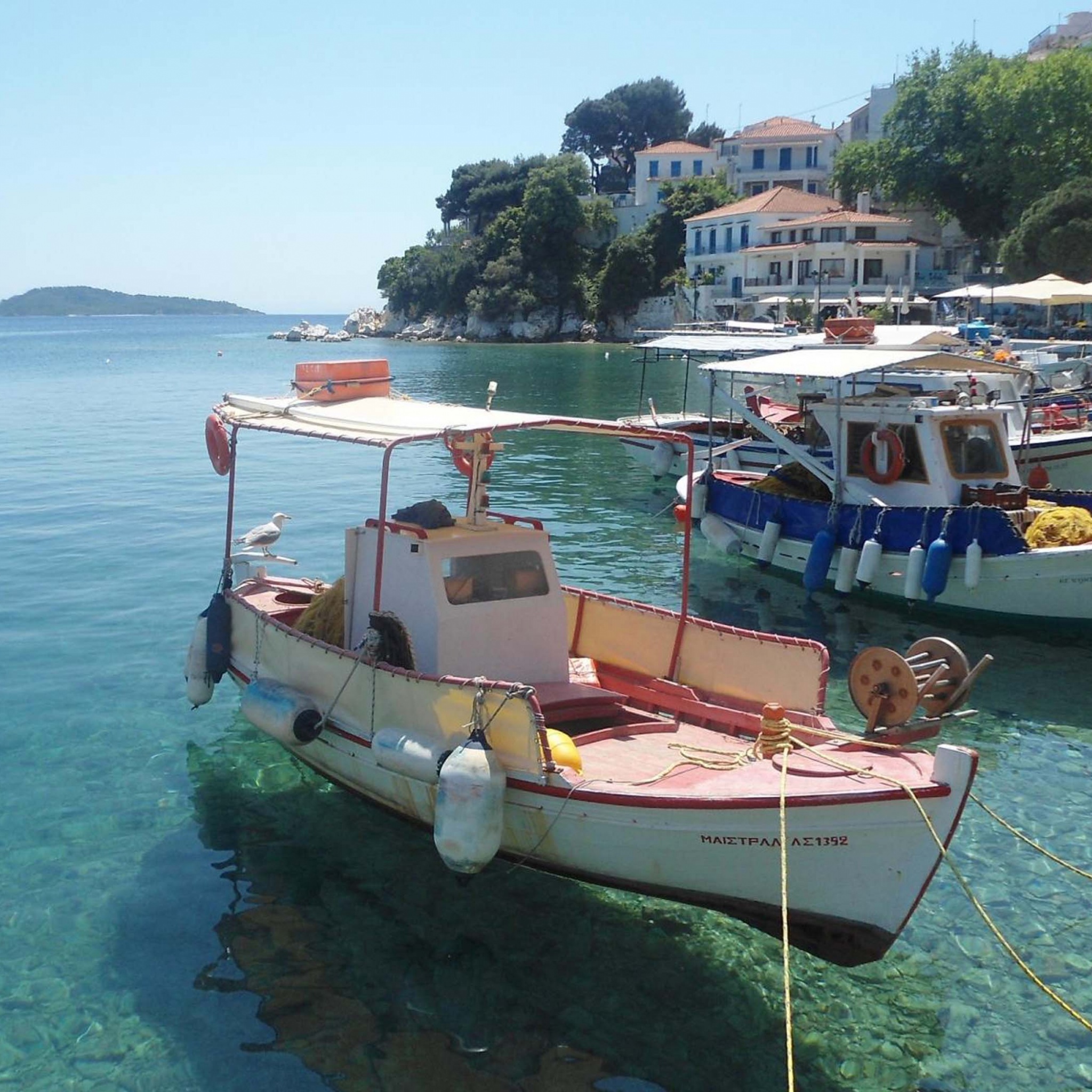 Skiathos Plakes Pier Sporades Thessalia Sterea Ellada Greece