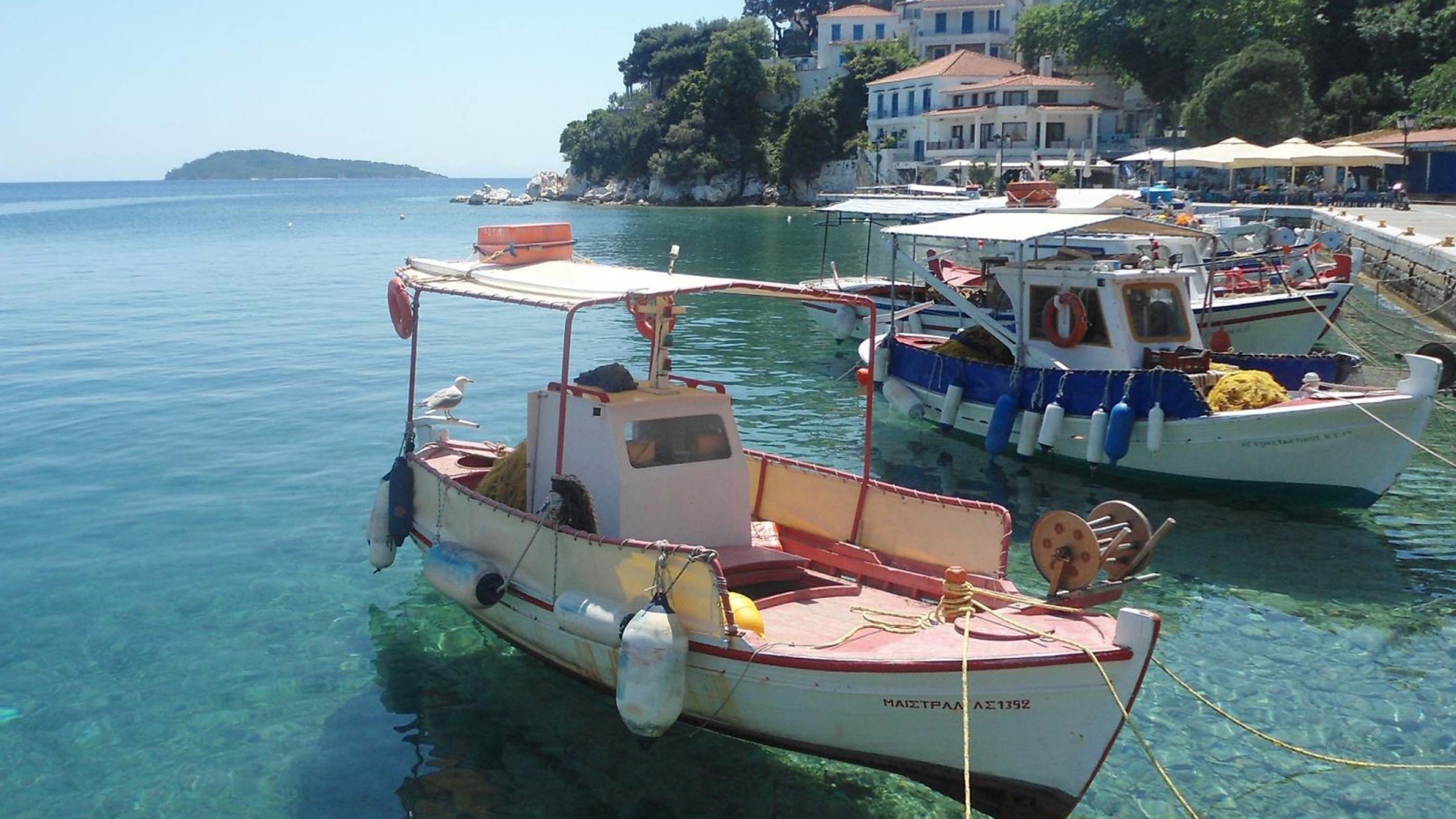 Skiathos Plakes Pier Sporades Thessalia Sterea Ellada Greece