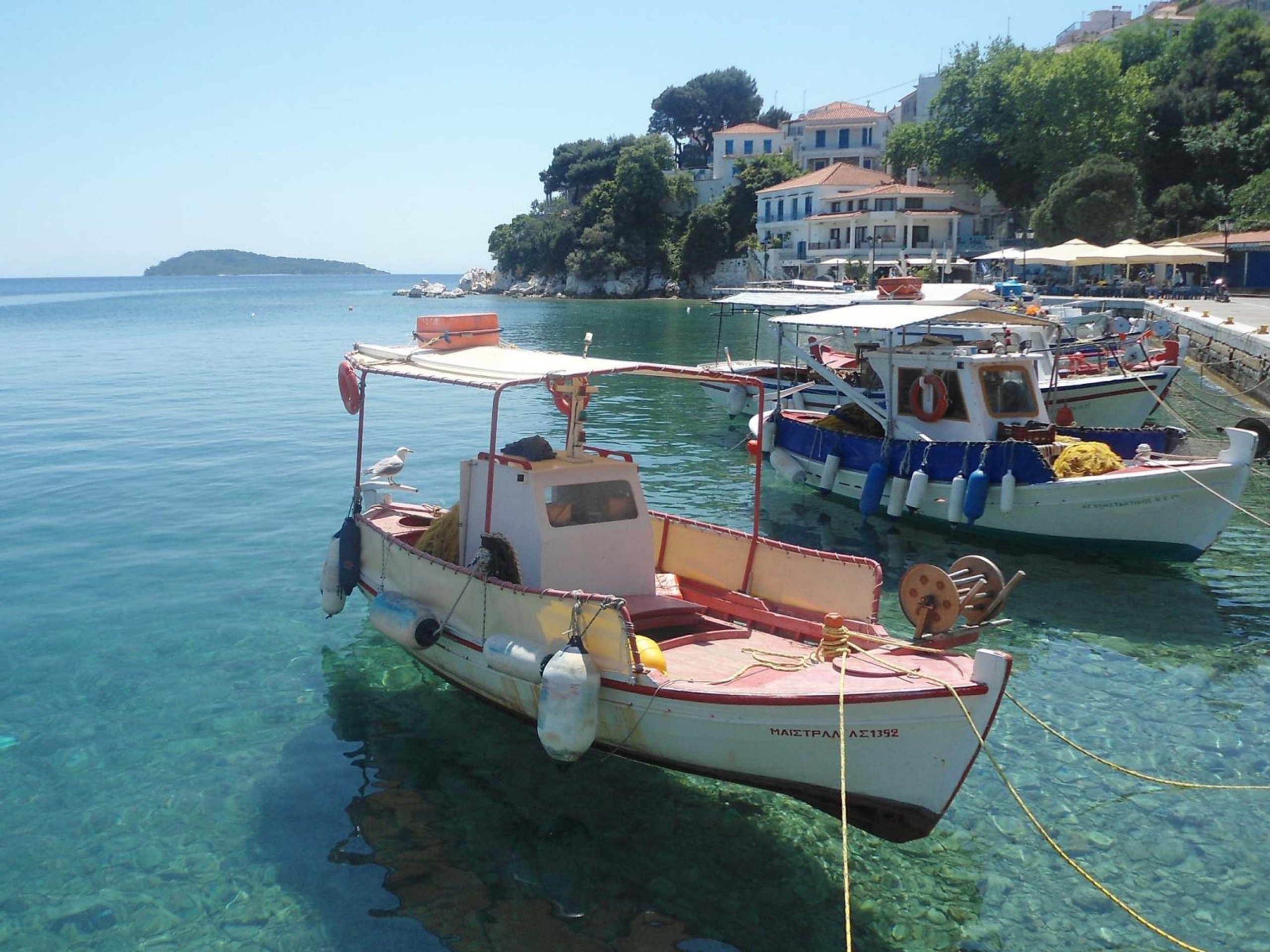 Skiathos Plakes Pier Sporades Thessalia Sterea Ellada Greece