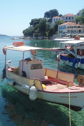 Skiathos Plakes Pier Sporades Thessalia Sterea Ellada Greece