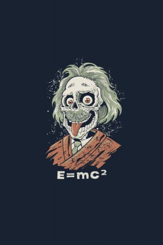 Skulls Funny Albert Einstein E Mc 2 Fun Art