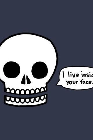 Skulls Humor Funny Creative Digital Art Faces Background