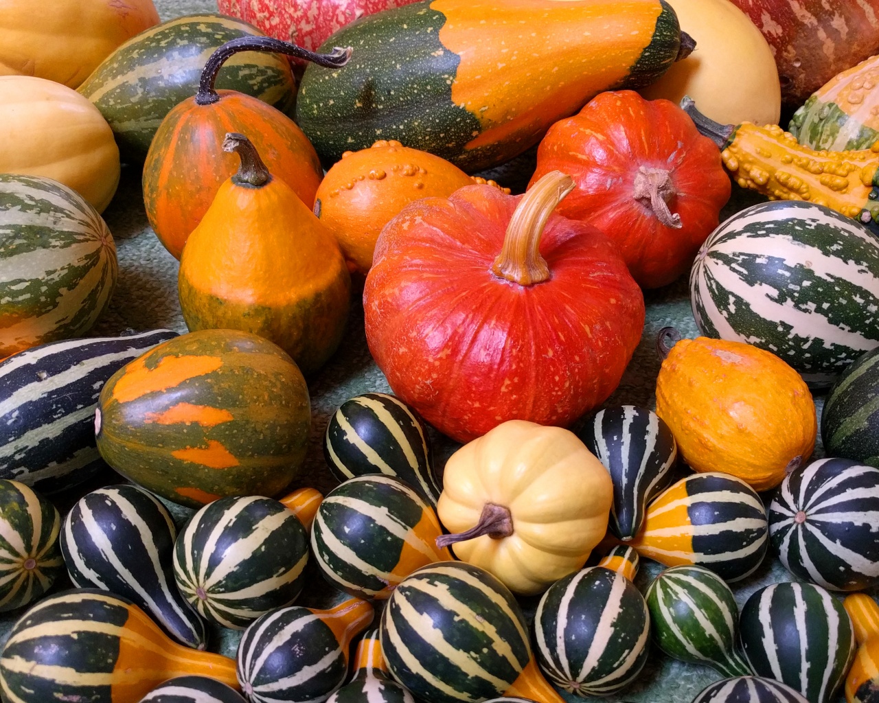 Small Pumpkins For Halloween Party