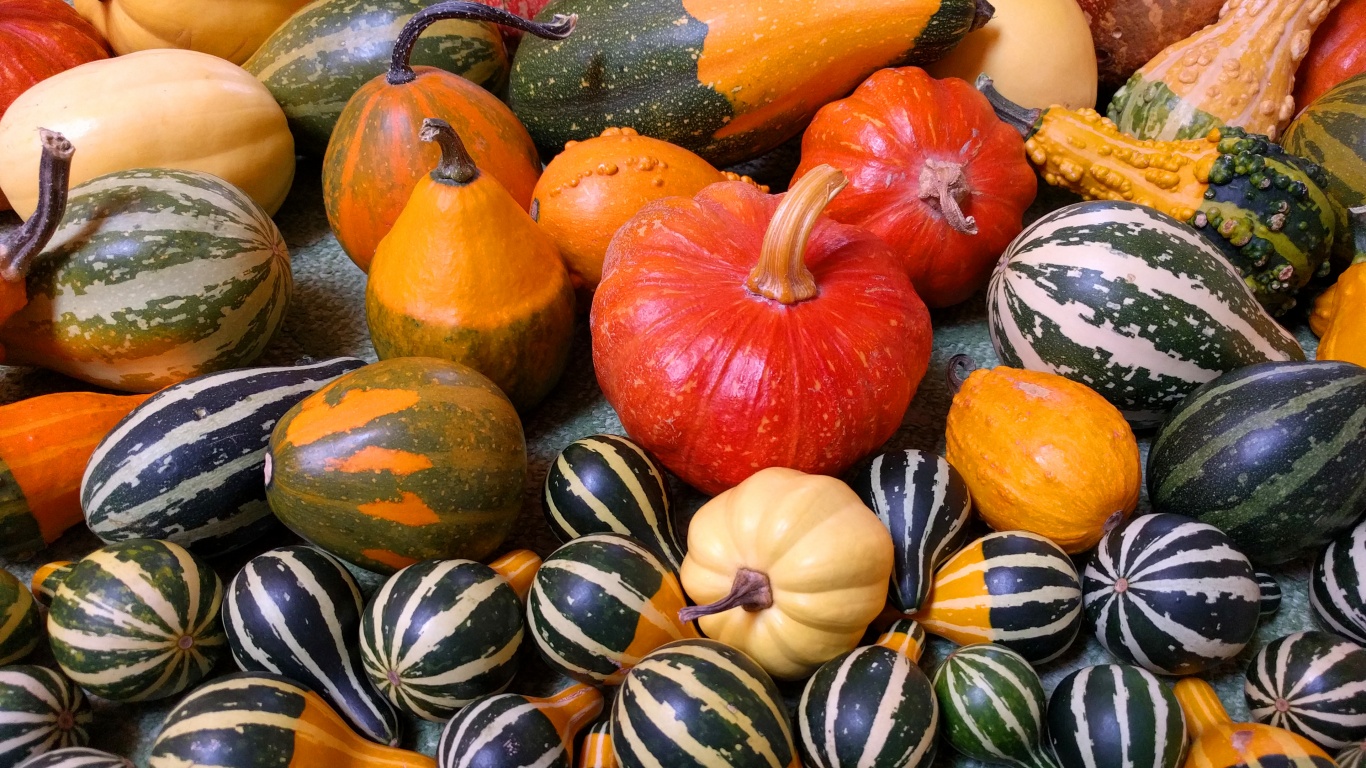 Small Pumpkins For Halloween Party