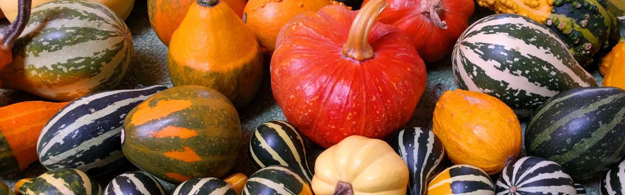 Small Pumpkins For Halloween Party