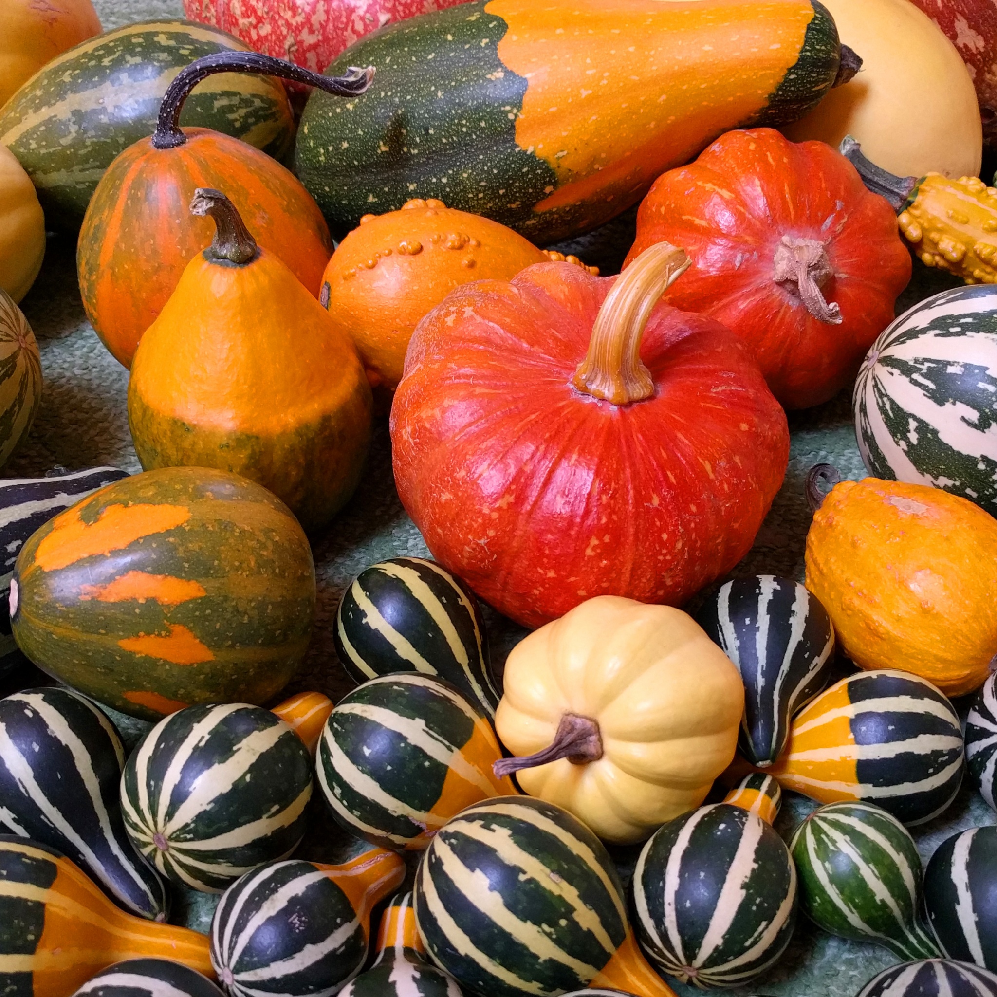 Small Pumpkins For Halloween Party