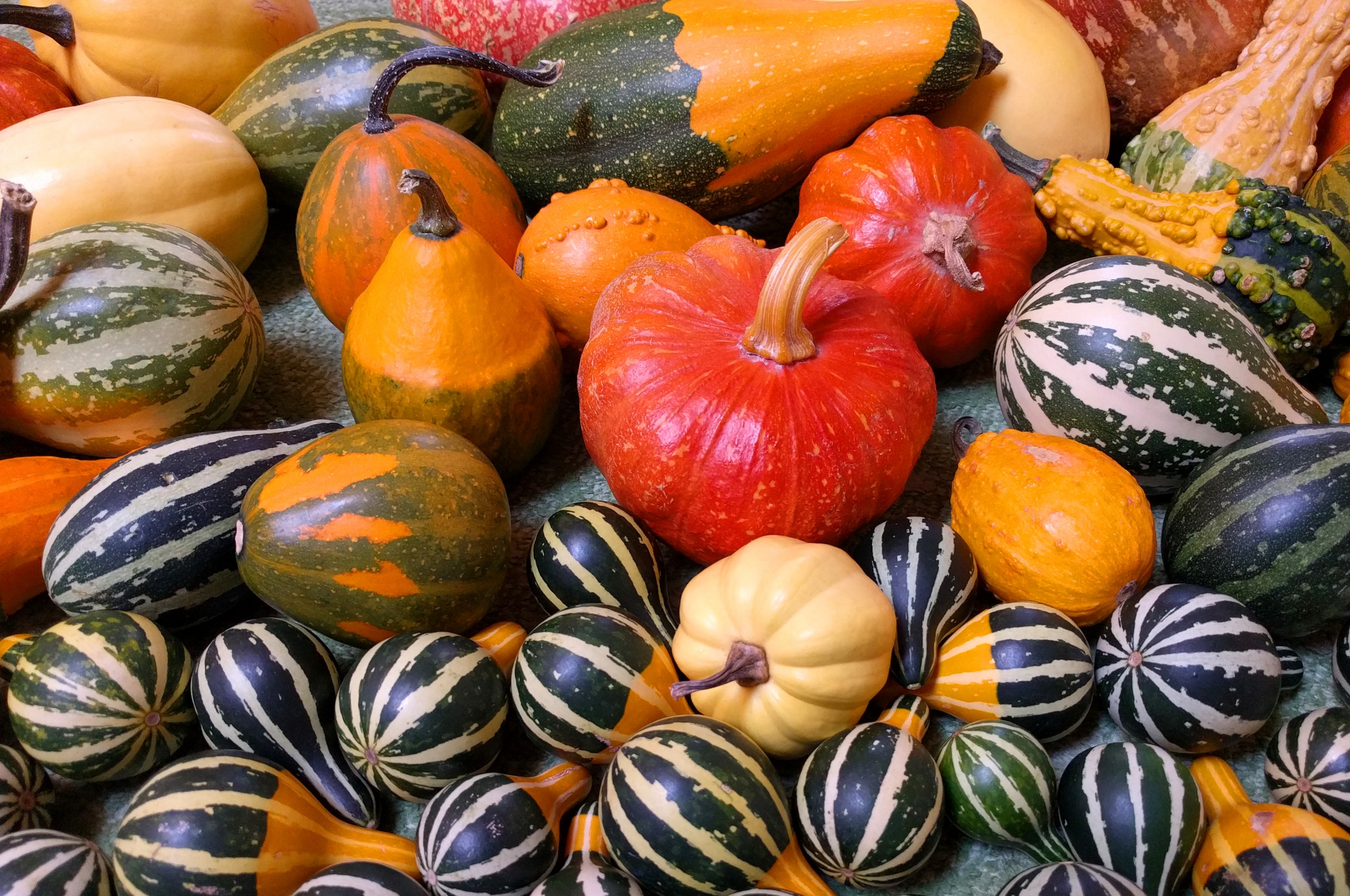 Small Pumpkins For Halloween Party