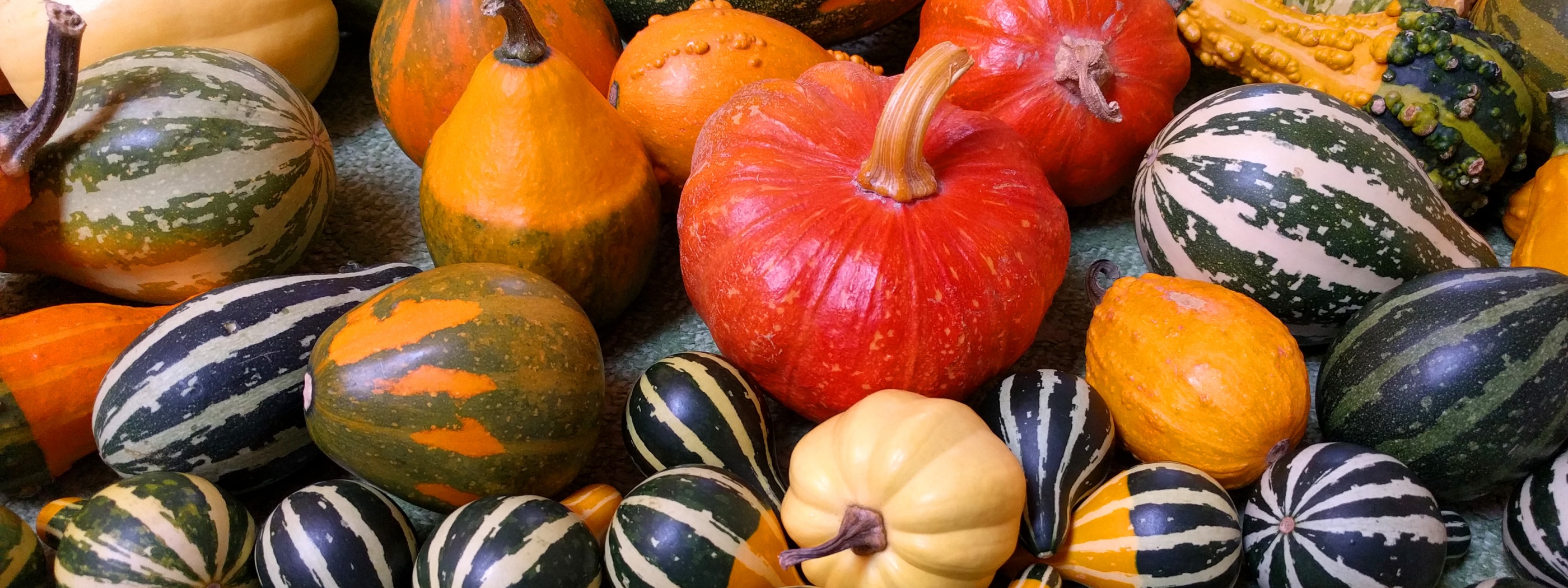 Small Pumpkins For Halloween Party