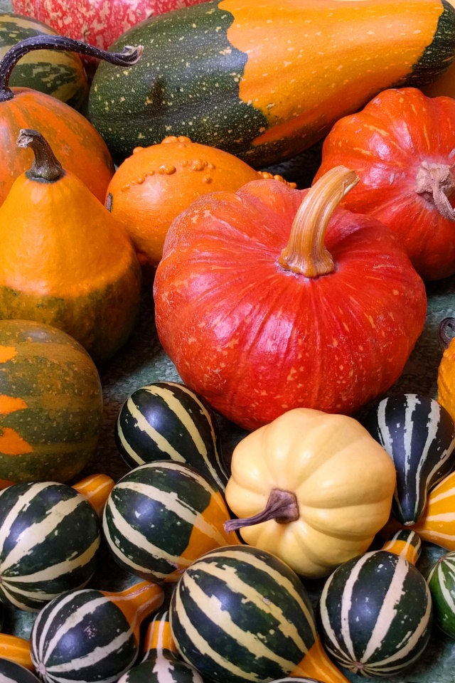 Small Pumpkins For Halloween Party