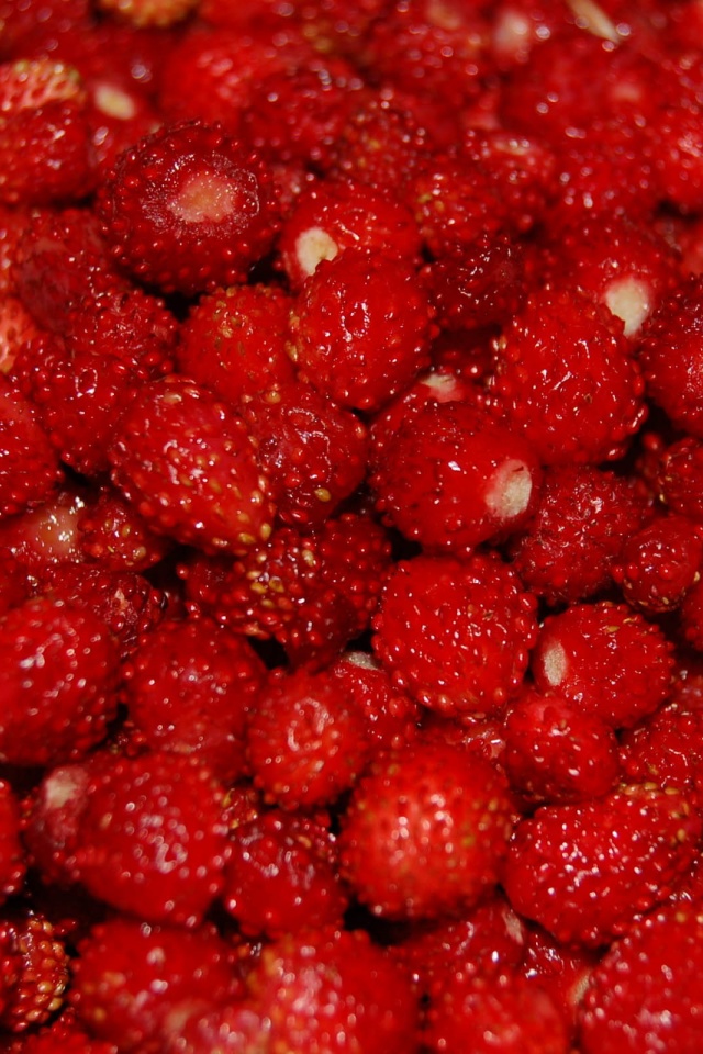 Small Strawberries