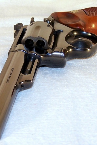 Smith Wesson Model 19