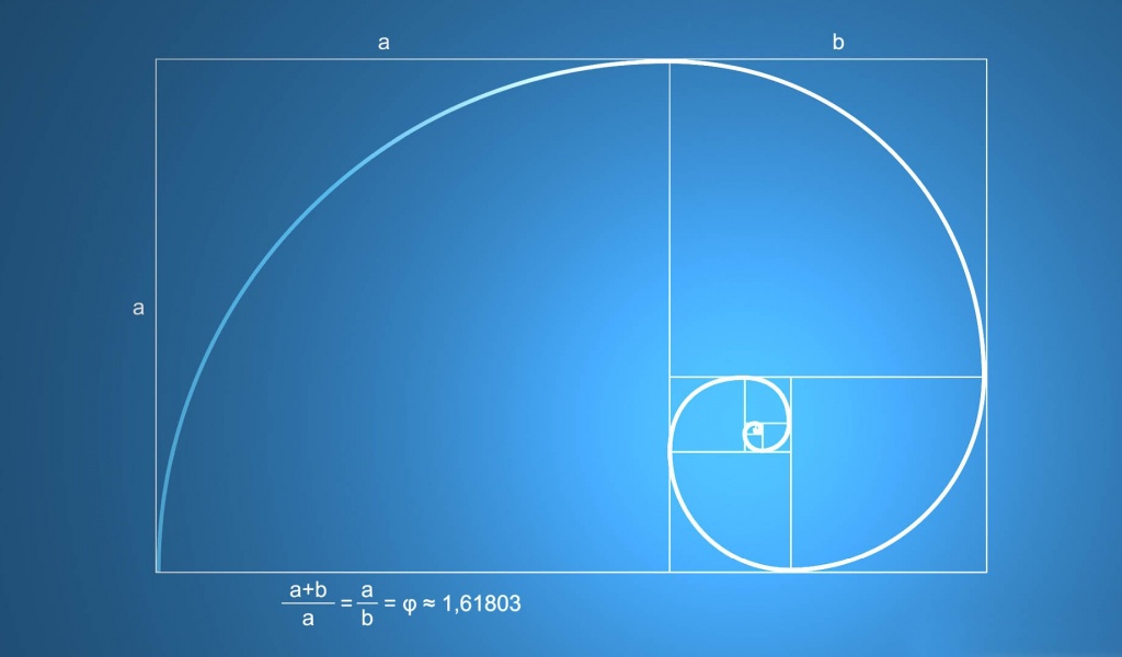 Snail Shell Spiral