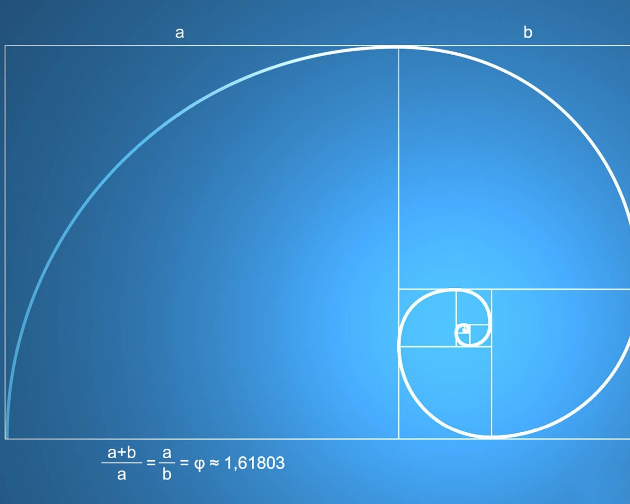 Snail Shell Spiral